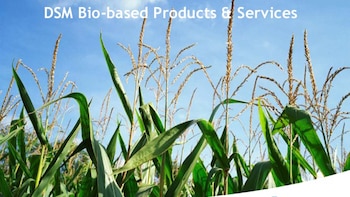 Alimentos saludables, es uno de