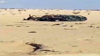 El conductor del otro automóvil