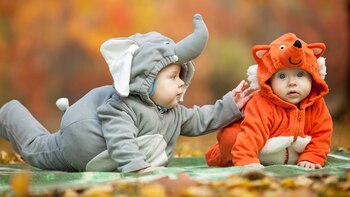 Imagen J52XHKYUSVBC5MKUJCJ3MU7GPY