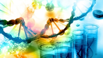 Existe un fuerte debate mundial