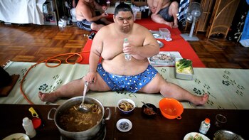 Los luchadores de sumo siguen