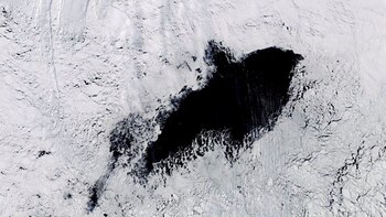 Los científicos aún no pudieron