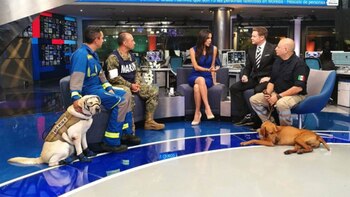 Frida en el noticiario de