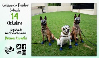 Evento organizado por la Marina