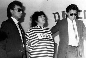 El arresto de “Camarada Rosa”