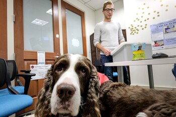 Devon Wallick durante una sesión