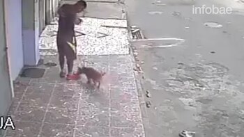 Otro perro se acercó, atraído