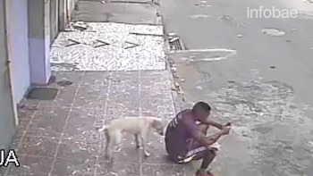 El perro olfateó la espalda