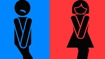 Esta problemática es considerada por