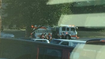 La zona del complejo de