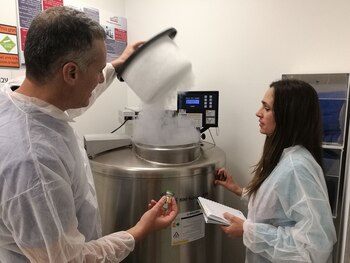 La estrategia de la compañía