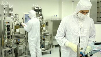 Con una sola placenta se