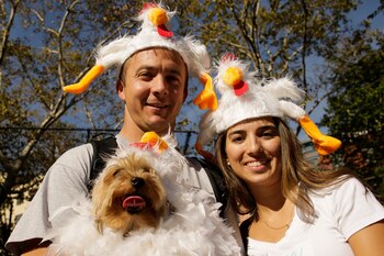 La temática fue adquirida también por los amos de las mascotas. Muchos de los participantes decidieron hacer un disfraz familiar