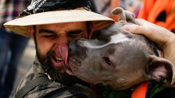 No todo fue susto y diversión. Personas con su mascotas no dejaron de mostrar al público el amor y compañerismo entre especies