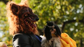 Se realizó la la 27ª edición del Desfile de Perros de Halloween en Square Park