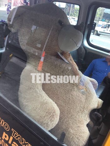 Un peluche gigante, otro de