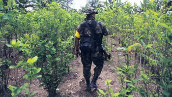 Colombia sigue siendo el mayor