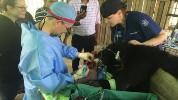 Ya no podía comer de