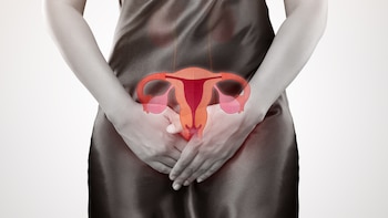 Realizar controles periódicos es fundamental