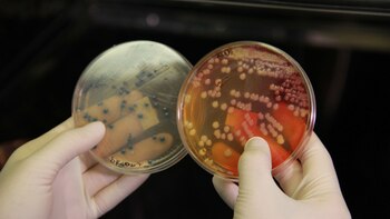 Antes de llegar a la