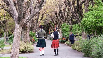 … guiados por gaiteros escoceses
