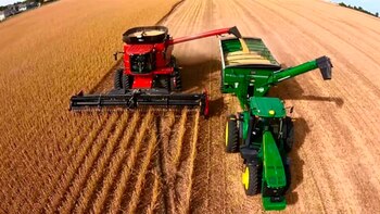 En los próximos días se