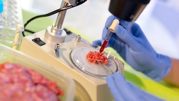 El Ministerio de Salud y