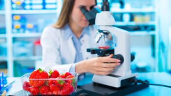 La Anmat y el Ministerio