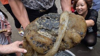 Imagen KMUE2O3U5BE5PDTGU4RZOOXFLM