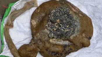 Imagen IYQ7PIJVRJGXDHDQF4YP2HD5AU