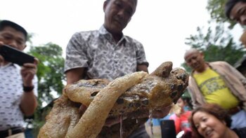 Imagen B77QBSJ4Y5GJTE22WBOUEO4574