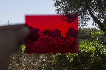Daniela Bojórquez Vértiz – Sin