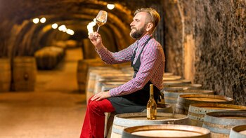 Los participantes afrontarán diversas pruebas