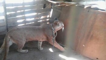 (Gentileza La Gaceta)