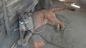 (Gentileza La Gaceta)