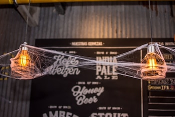 Telarañas decoran y unen las