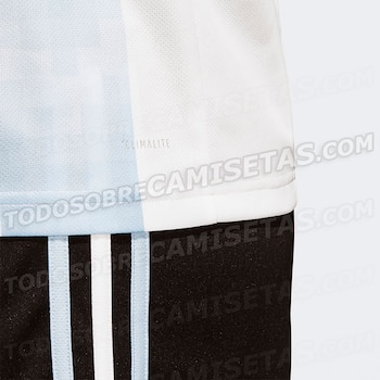 (Todo sobre camisetas)