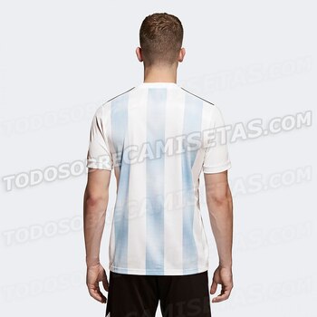 (Todo sobre camisetas)