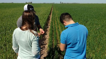 Kilimo S.A., empresa sustentable de agrocultivos, están La Maquinita de Córdoba