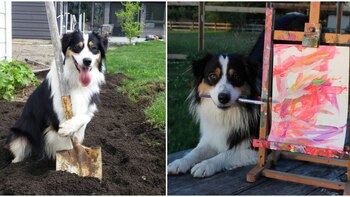 Su nombre es Secret y