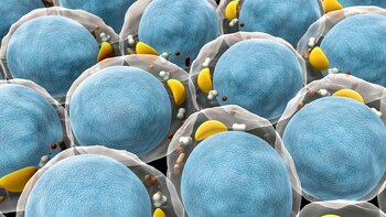 El estudio publicado en la