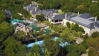 Su precio se eleva por