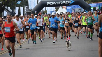 (Flickr: @daniel sabino2012)