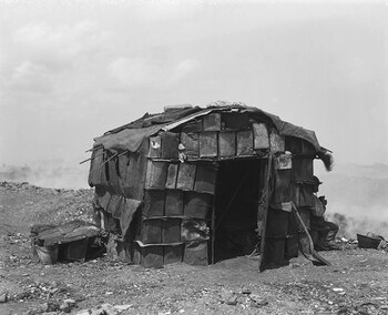 Harry Grant Olds: 369. Habitación