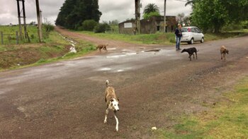 El lugar del ataque (Foto: