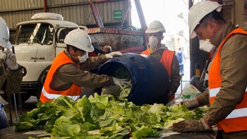 La separación en origen y