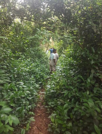 La realidad del evento solidario