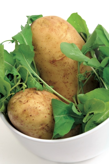 La papa es la protagonista