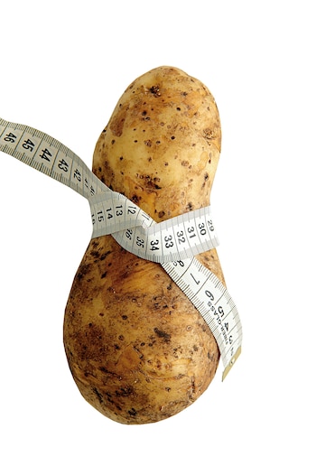 “La papa en sí no