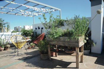 Huerta urbana. Hay varias empresas que